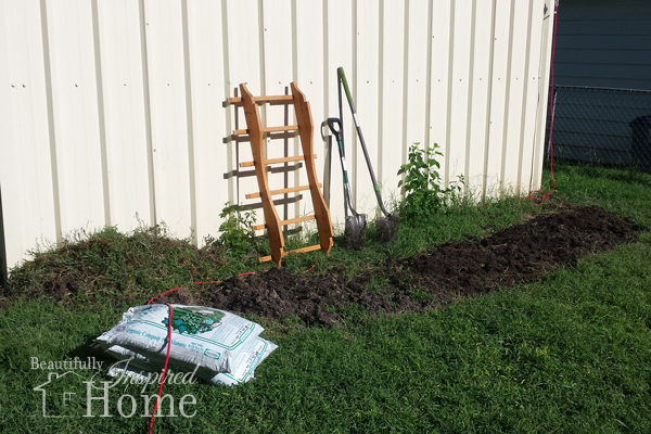 Digging the flowerbed